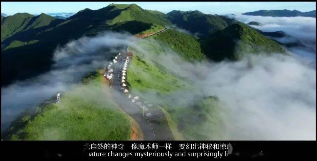 时尚潮流公主